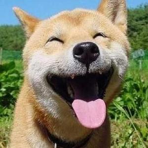 中国体育生导管
