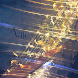 中国体育生导管
